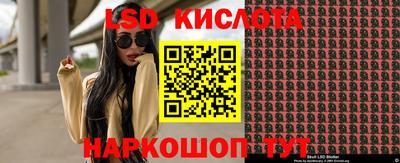 Альфа ПВП Кингисепп