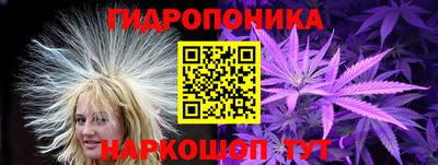 Альфа ПВП Кингисепп