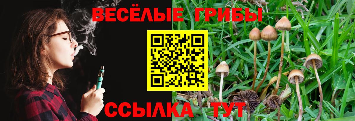 Псилоцибиновые грибы MAGIC MUSHROOMS  Вход с VPN  Галлюциногенные грибы прущие грибы  Ростов-на-Дону 